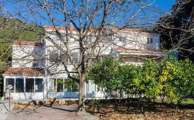 Apartments With A Parking Space Zuljana, Peljesac - 4574